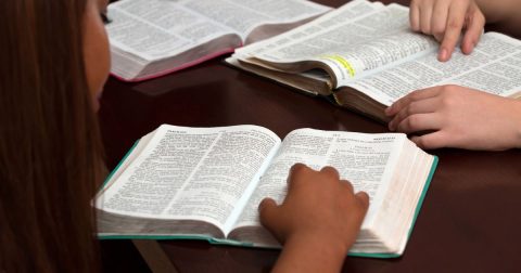 Divulgada tradução do primeiro livro dos Macabeus Estudo da Bíblia. Foto Balazs Toth