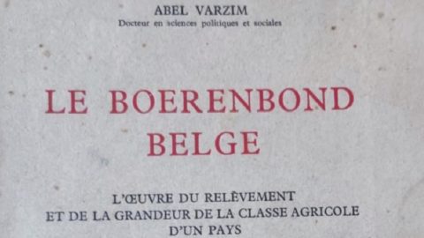 Abel Varzim. Tese. Bélgica