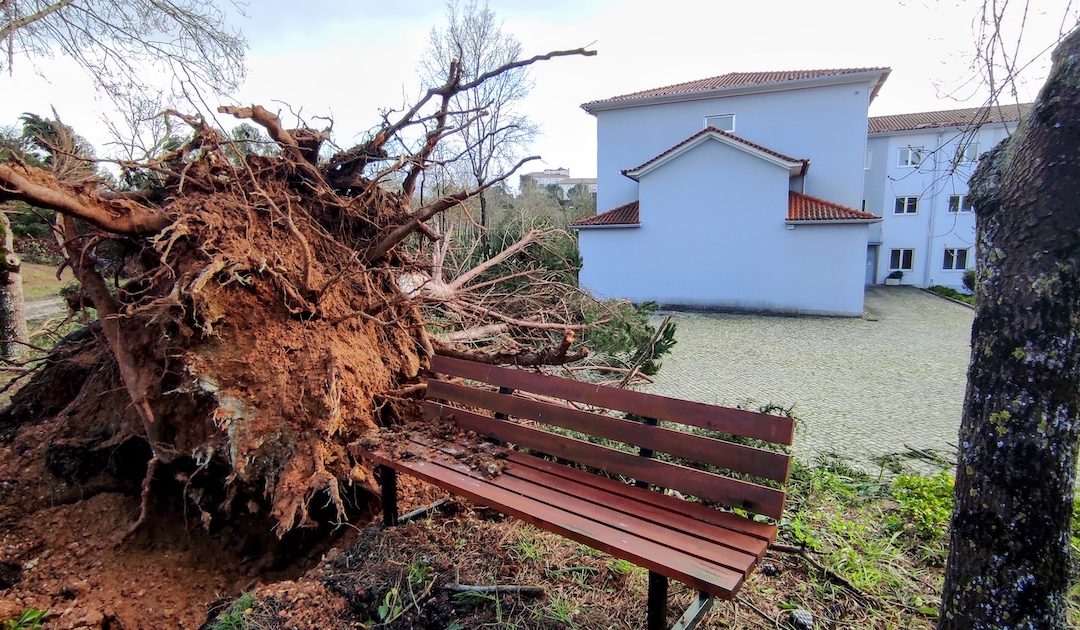 Solidariedade e esperança depois da tempestade