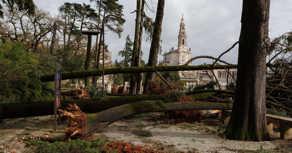 Os danos provocados pela tempestade Kristin no Santuário de Fátima. Foto Santuário de Fátima Os danos provocados pela tempestade Kristin no Santuário de Fátima. Foto Santuário de Fátima