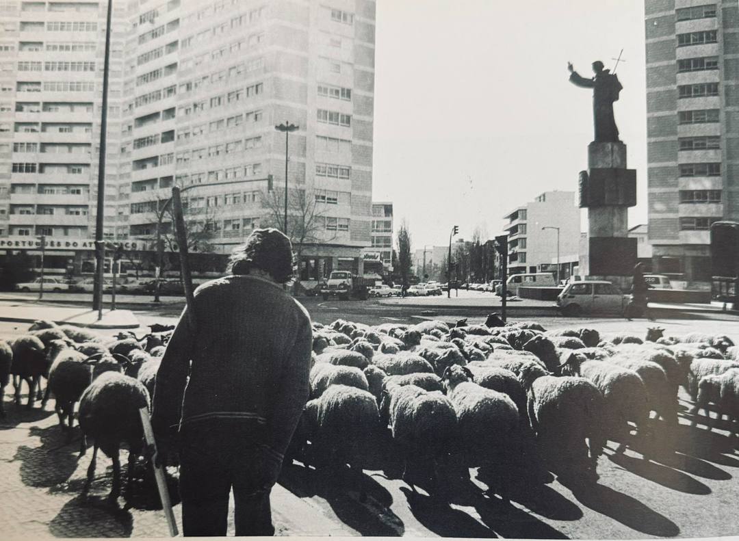 Lisboa 1980. Praça de Alvalade
