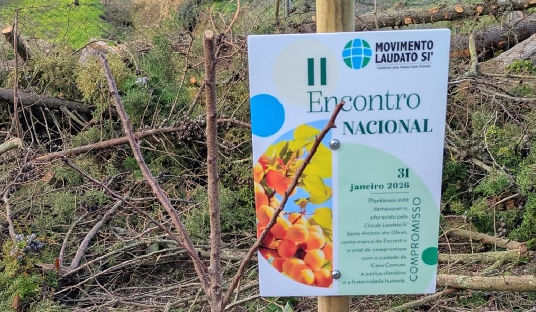 Uma gota de água, uma forte corrente submarina pelo clima em Palmela