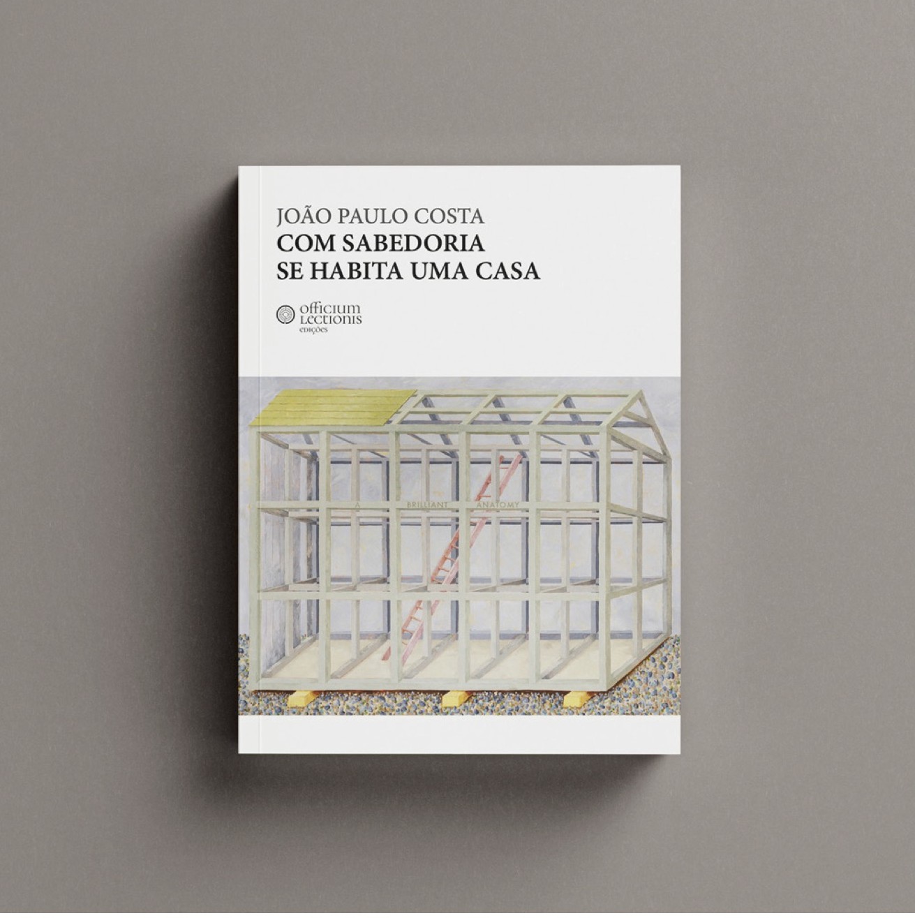 Capa do livro Com Sabedoria se habita uma casa, a partir de uma obra de Horácio Frutuoso © fotografia: João Paulo Costa