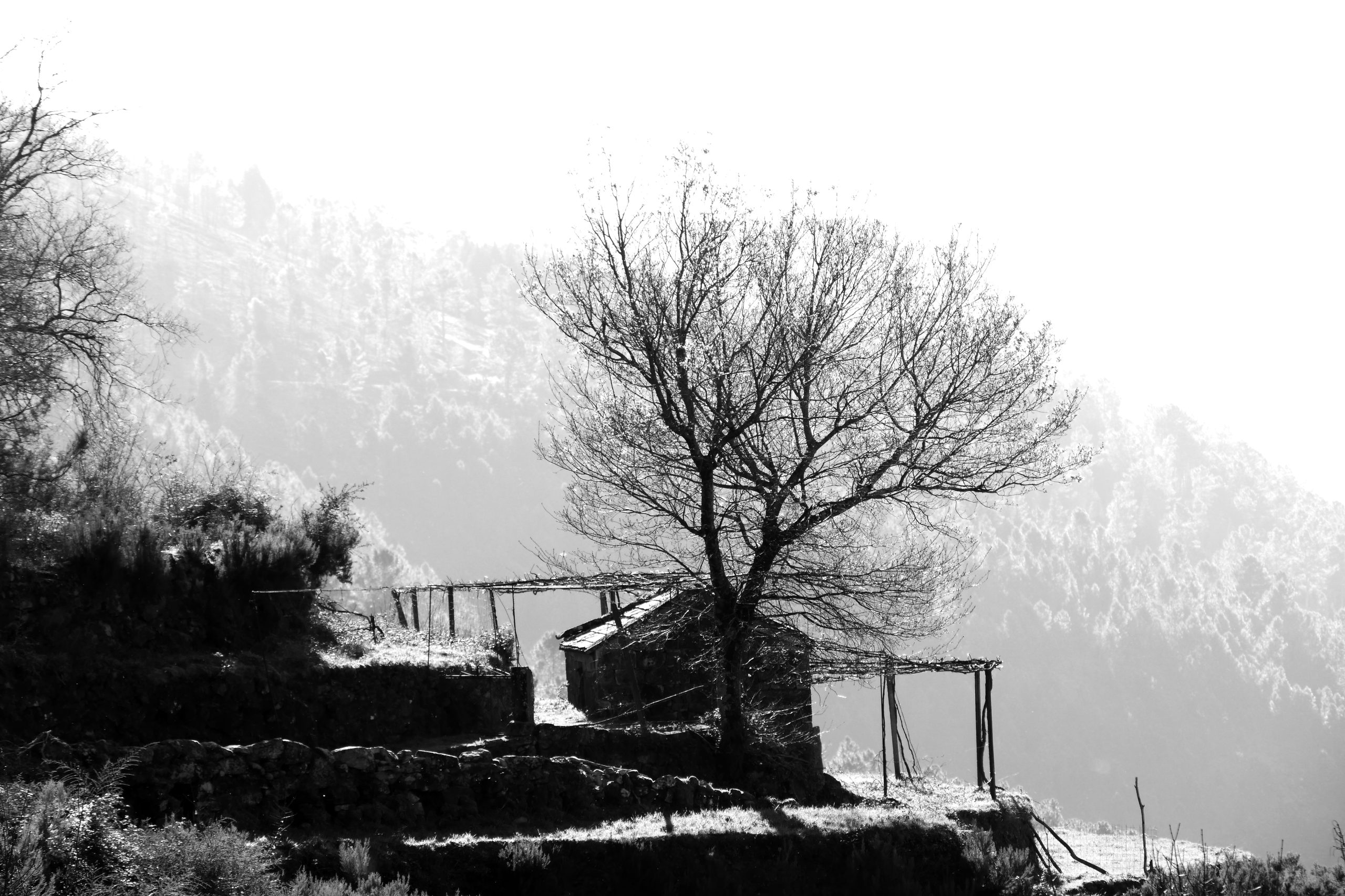 Casa num dos trilhos de Sistelo, Arcos de Valdevez © fotografia: Joaquim Félix