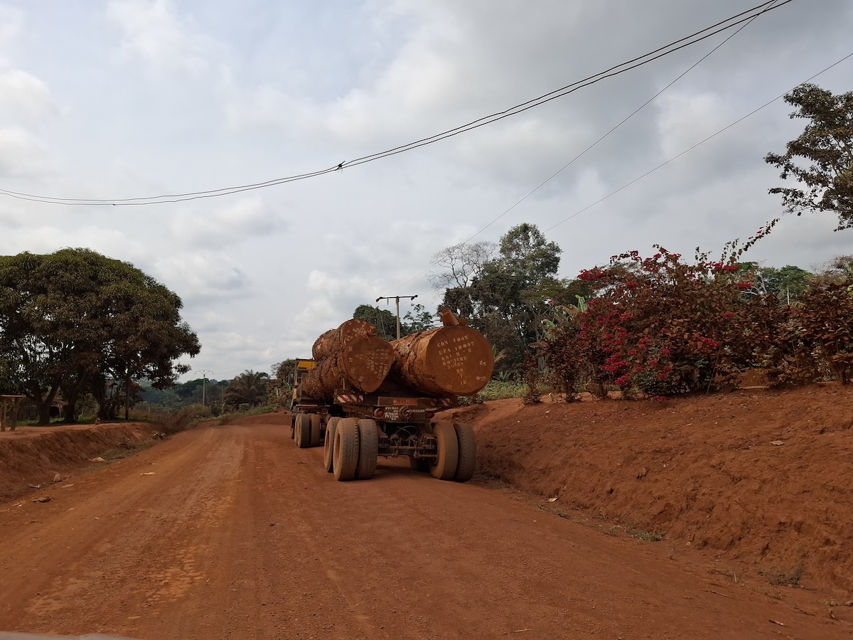 Madeiras, África, Camarões