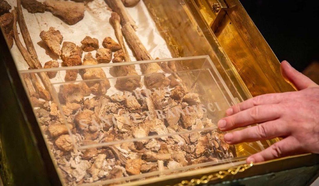 Do corpo ocultado ao corpo exposto de Francisco de Assis