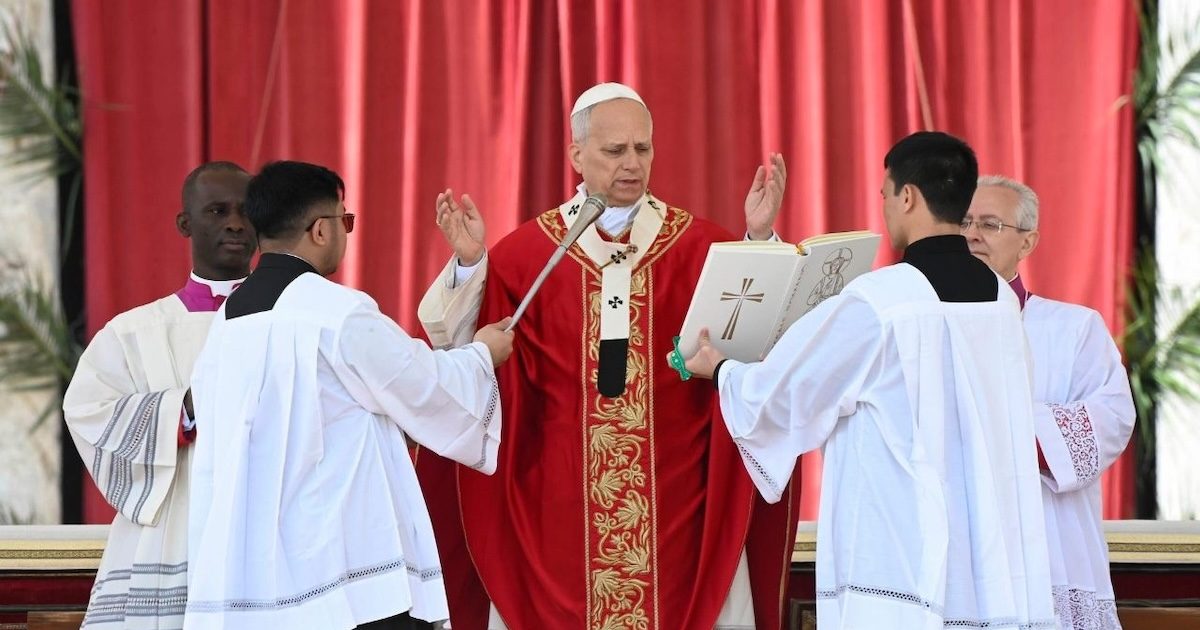 Papa Domingo Ramos O Papa reiterou apelo à paz no Médio Oriente, manifestando a sua proximidade aos cristãos da região impedidos de celebrar os ritos da Semana Santa devido à guerra. Foto © Vatican Media. Domingo Ramos