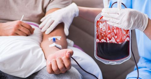 Transfusão de sangue. Foto Elnur