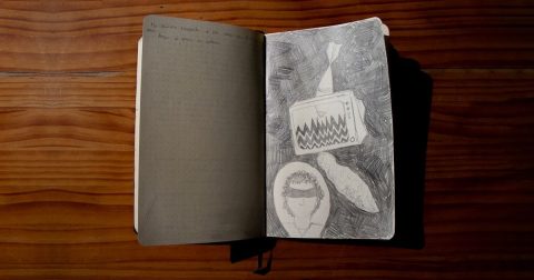 Ilustração © Catarina Soares Barbosa