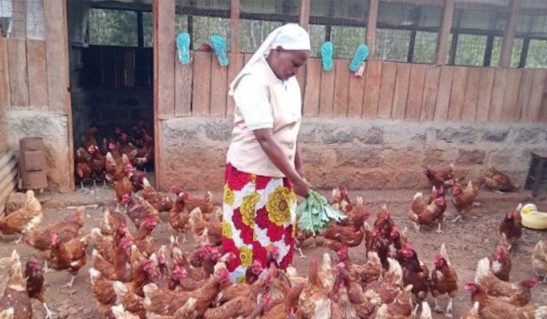 Religiosa transforma agricultura no Quénia