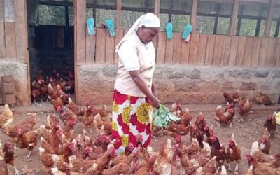 Religiosa transforma agricultura no Quénia