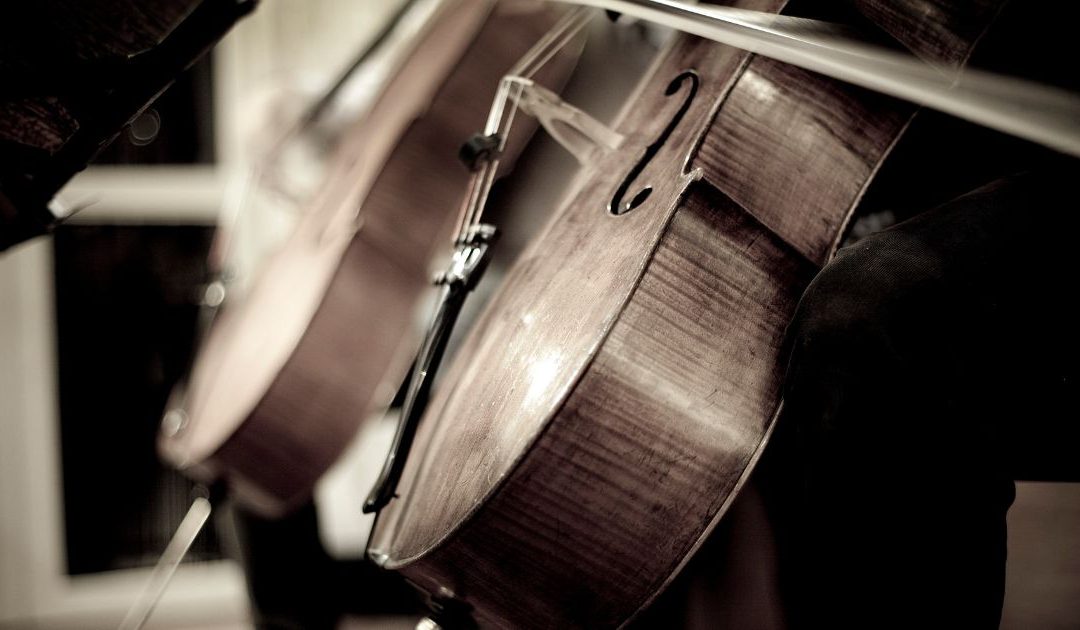 O violoncelo
