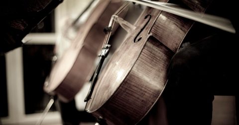 O violoncelo Violoncelo. Foto Silviano Vesette