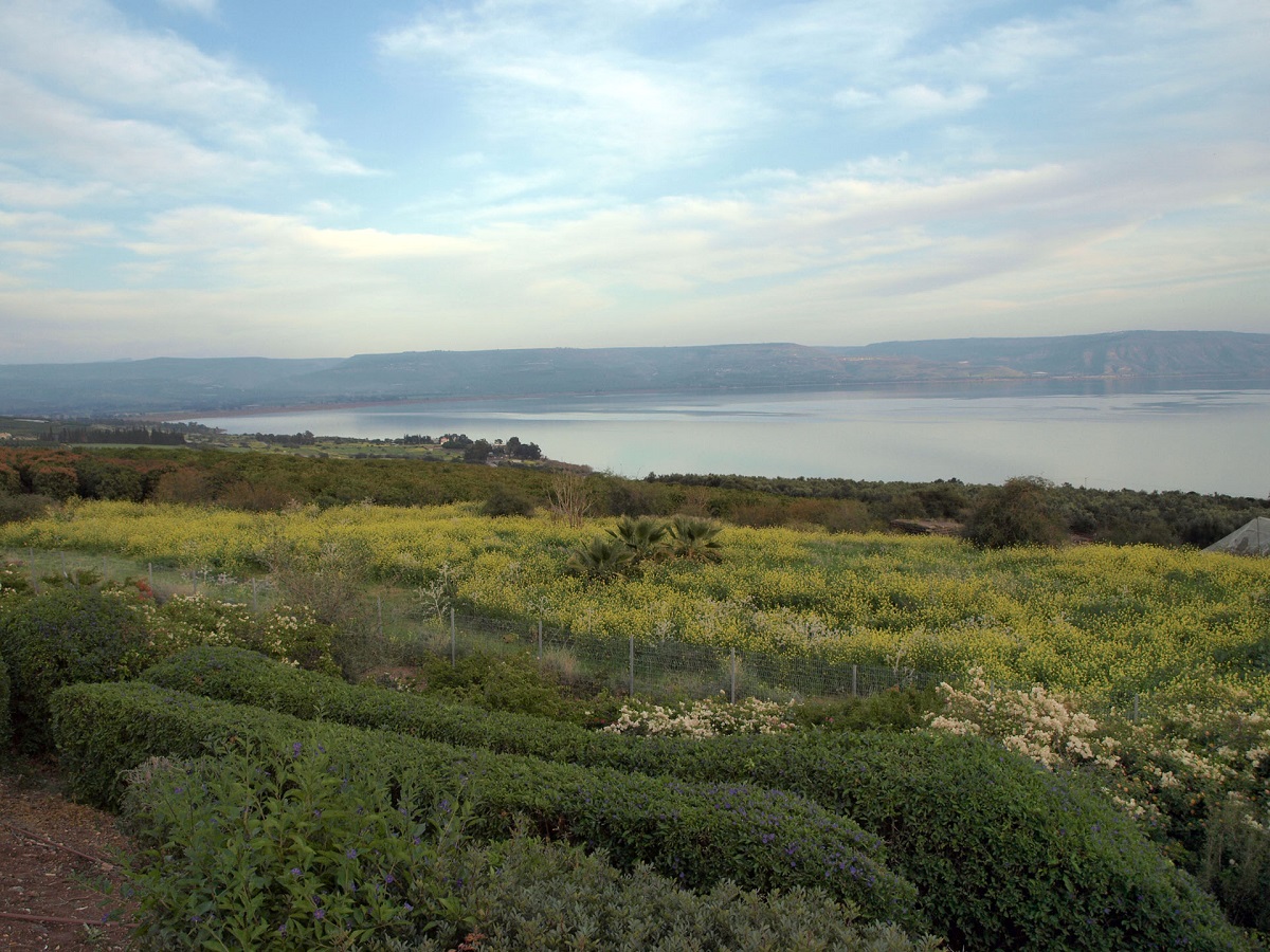 Mar da Galileia