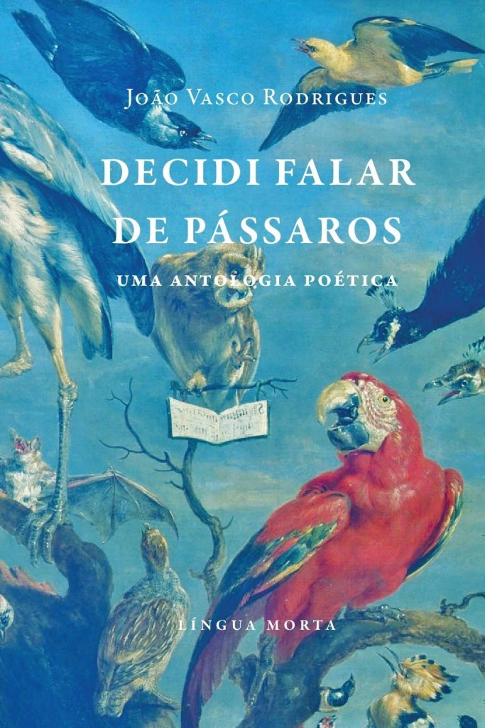 Decidi falar de pássaros capa