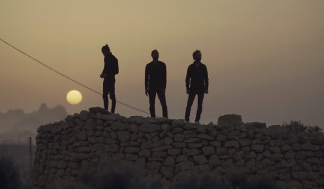O sabor das azeitonas na Palestina destruída