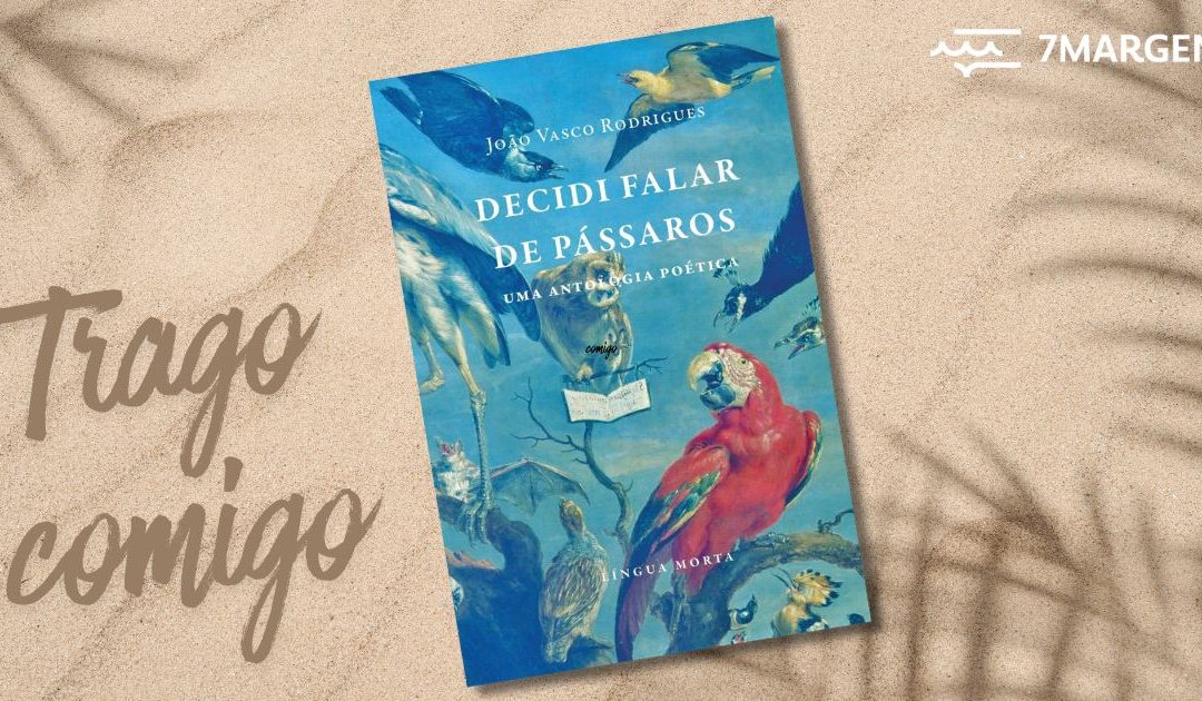 Grandes burros, muitos pássaros