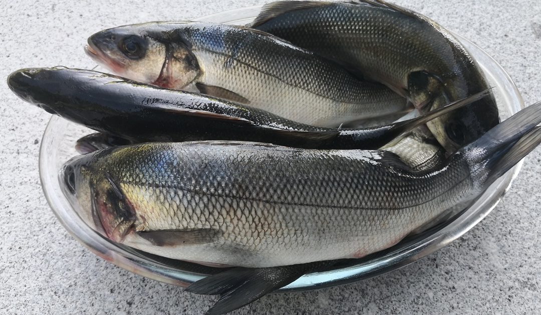 A gente quer inteiro e não pela metade
