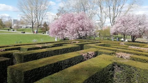 Labirinto nos Jardins do mundo, Berlim.