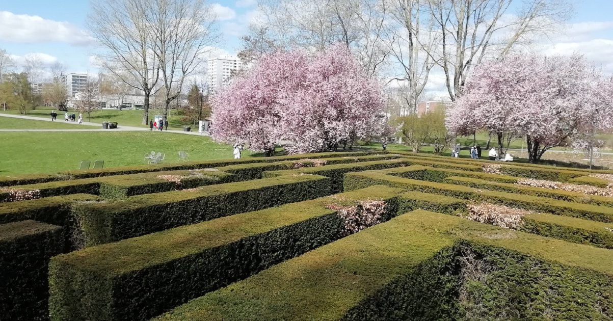 Labirinto nos Jardins do mundo em Berlim Labirinto nos Jardins do mundo, Berlim.