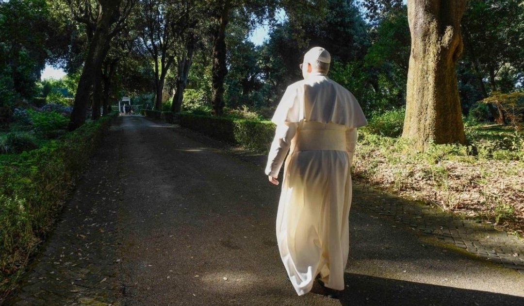Da espada ao arado, do deserto ao jardim: o apelo do Papa Leão XIV