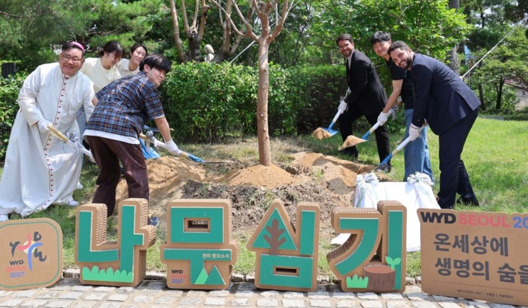 Da JMJ Lisboa à JMJ Seul: campanha mundial desafia jovens a plantar árvores