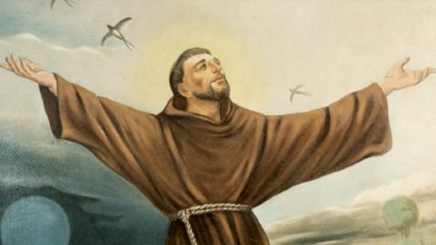 São Francisco de Assis e os animais Cântico