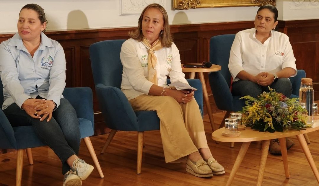 Na Amazónia colombiana, estas mulheres transformam a memória da guerra em esperança