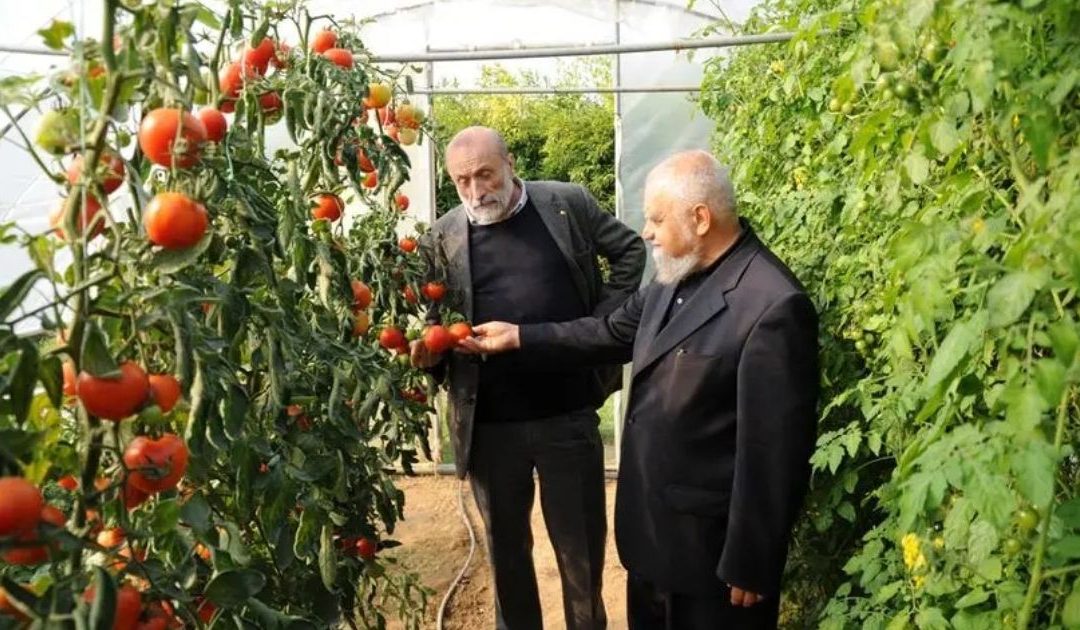 Este monge gosta de cozinhar ravioli e diz que a comida tem muito a ver com a ética