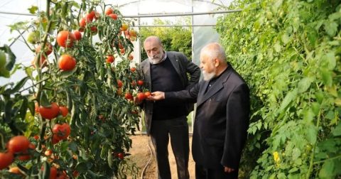 Enzo Bianchi na estufa de Bose com Carlo Petrini, fundador do movimento Slow Food. Foto DR