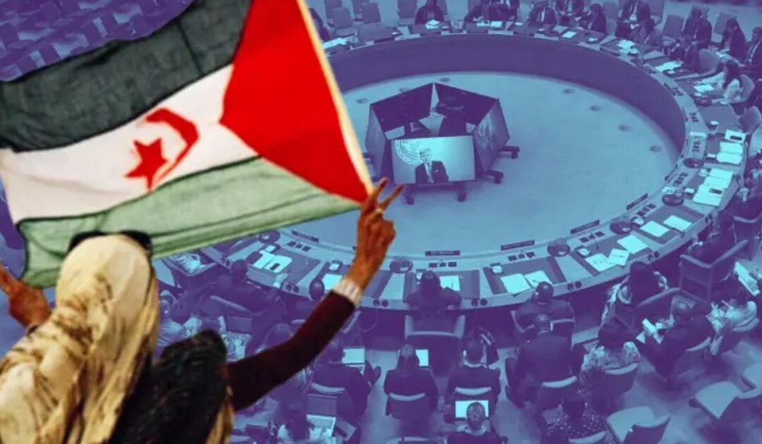 Académicos portugueses pedem à ONU um referendo “livre e justo” no Sahara Ocidental