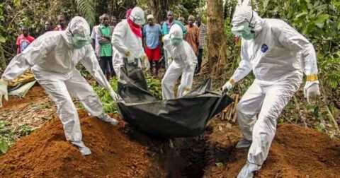 Entre a guerra, o ébola e uma nova crise política, emergência humanitária intensifica-se na República Democrática do Congo Republica Democratica do Congo. Foto DR, via Fundacao AIS