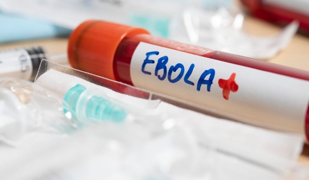 Ébola alastra-se a cinco países africanos e mata metade das pessoas infetadas